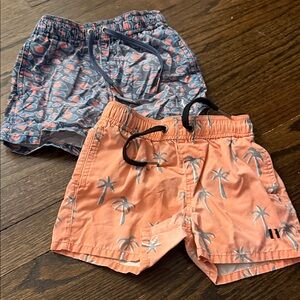 Beau Hudson swim trunks